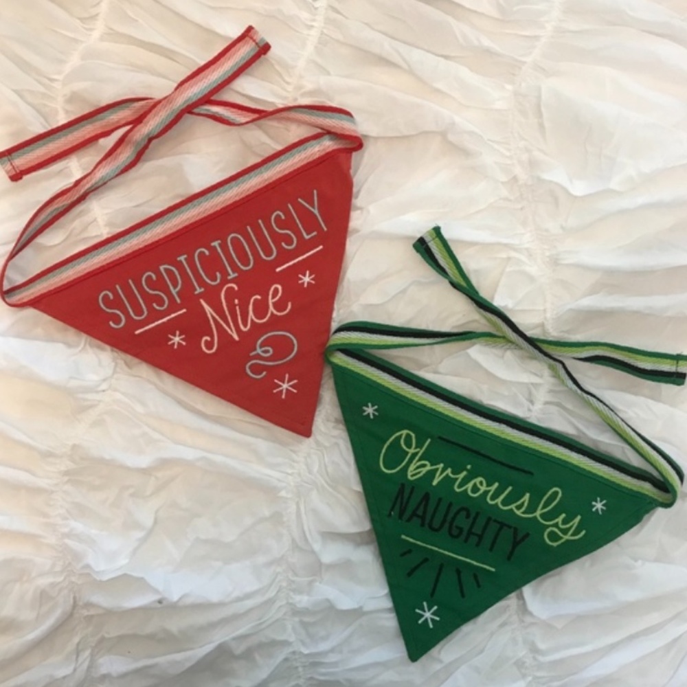 Christmas Pet Bandana Set Naughty and Nice